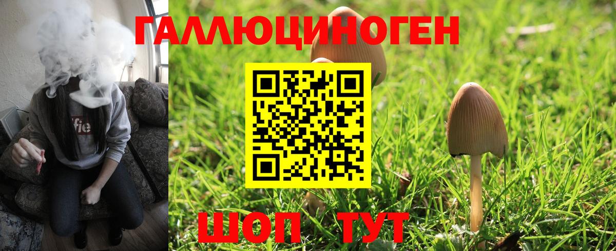 Лесной  Галлюциногенные грибы ЛСД  Вход с VPN 