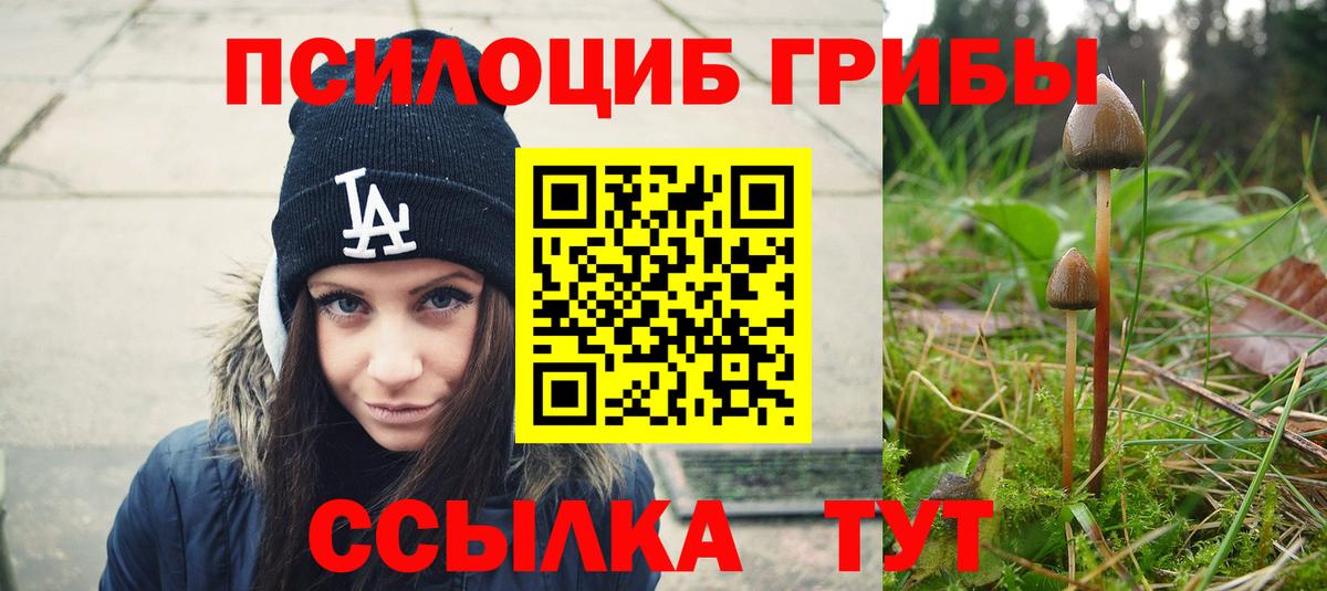 Псилоцибиновые грибы Cubensis Лесной