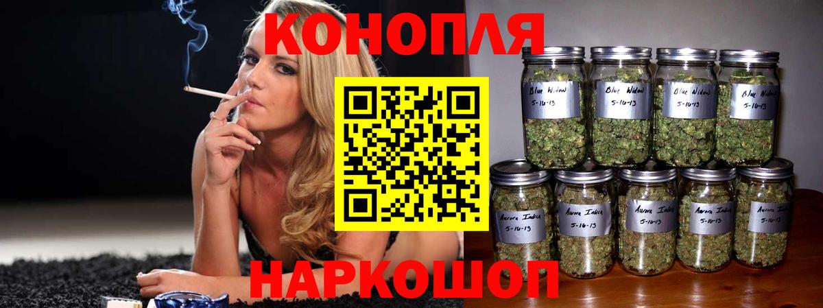 Конопля план Лесной